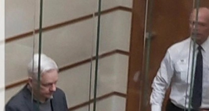 Julian Assange British court cage